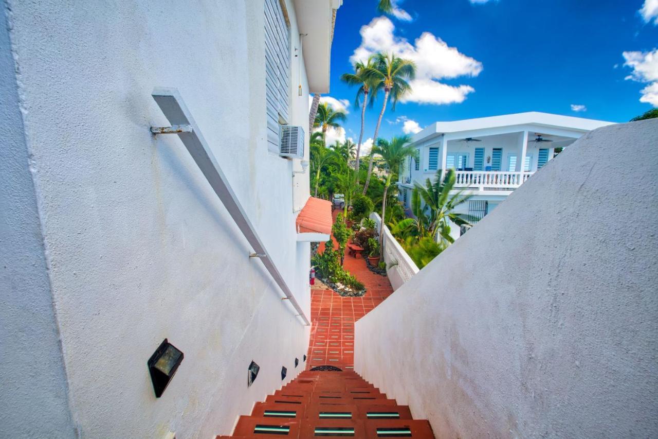Coconut Palms Inn Рінкон Екстер'єр фото
