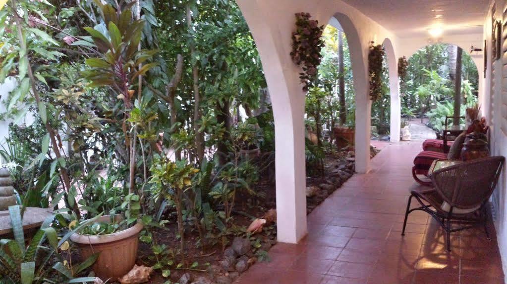 Coconut Palms Inn Рінкон Екстер'єр фото