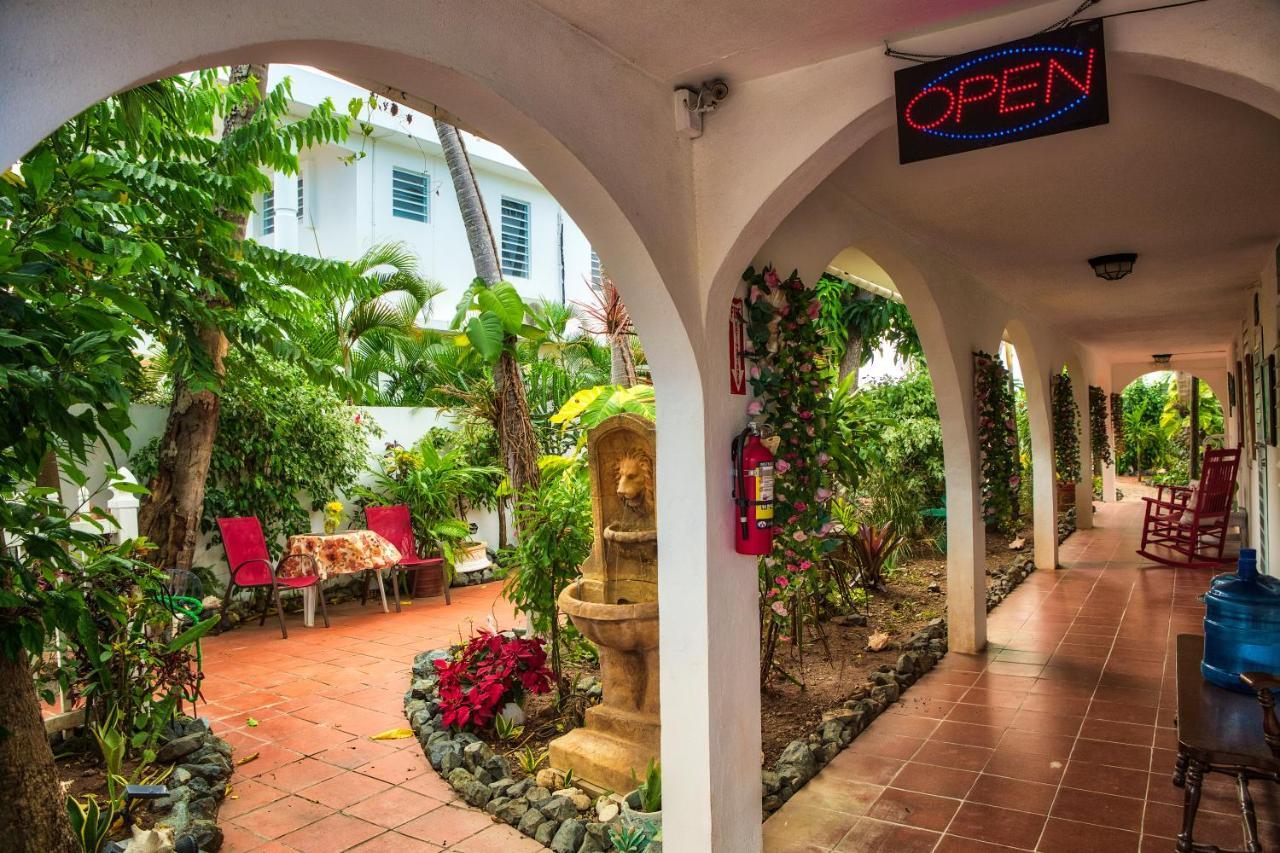 Coconut Palms Inn Рінкон Екстер'єр фото